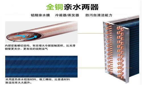 電動消毒機與噴霧消毒設備在養殖場的應用